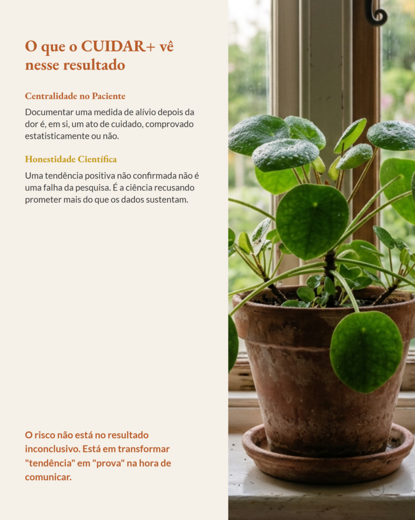 Qualificação da equipe de enfermagem em cuidados paliativos em casas de repouso, slide 8