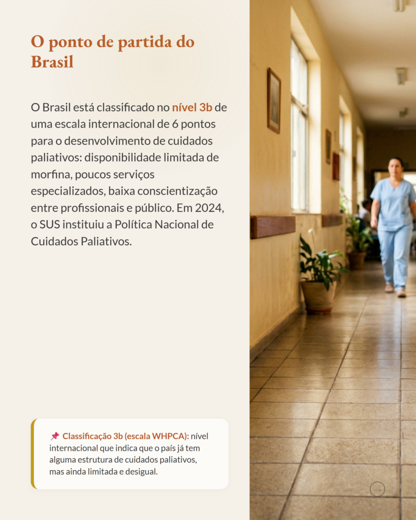 IDPALL-BR, adaptação transcultural do instrumento de triagem paliativa ID-PALL©, slide 2