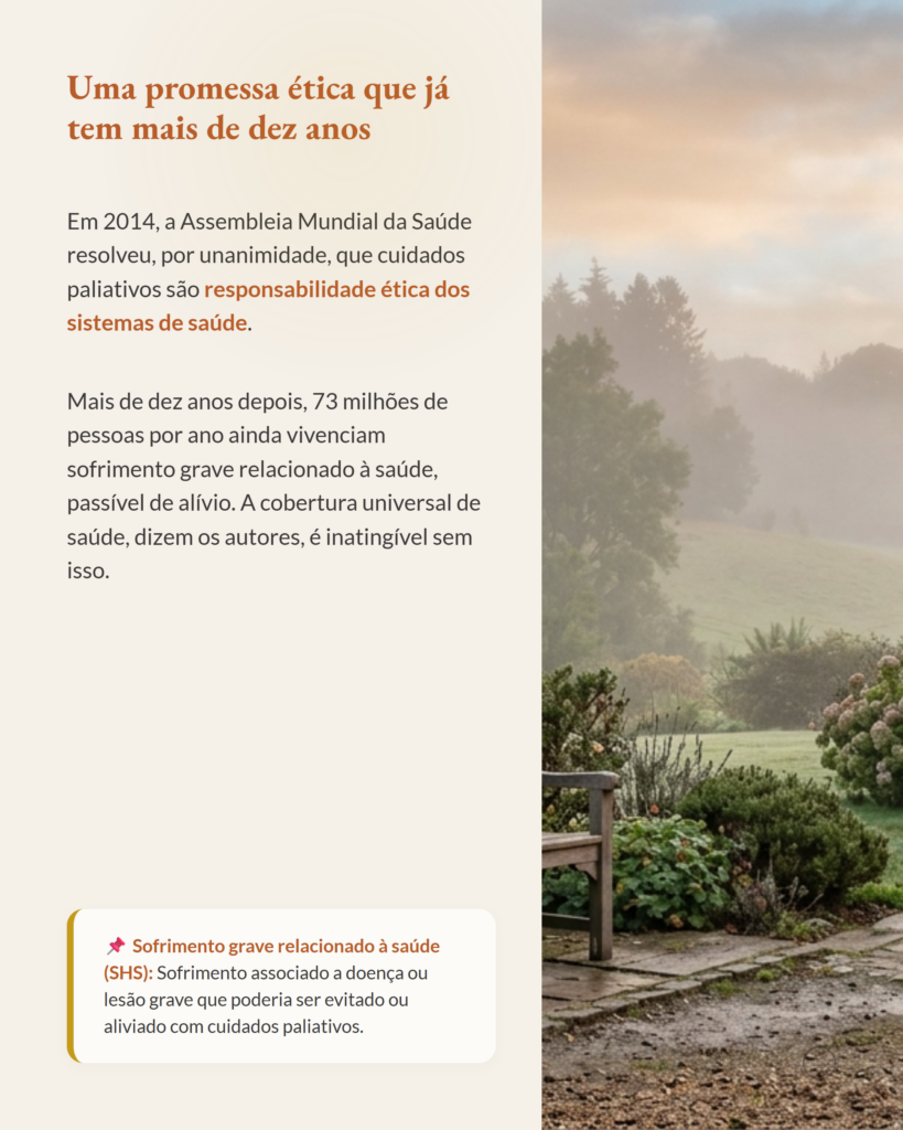 O abismo entre quem precisa e quem recebe cuidados paliativos, slide 2