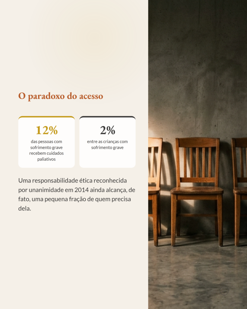 O abismo entre quem precisa e quem recebe cuidados paliativos, slide 3